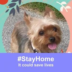 Meet your Posher, Larry